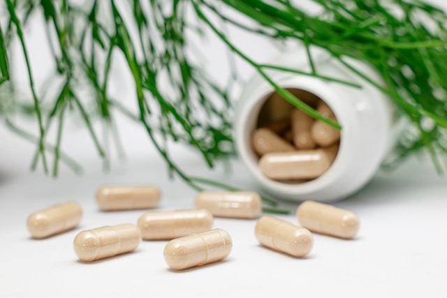 Bulk Döneminde Supplement Kullanımı