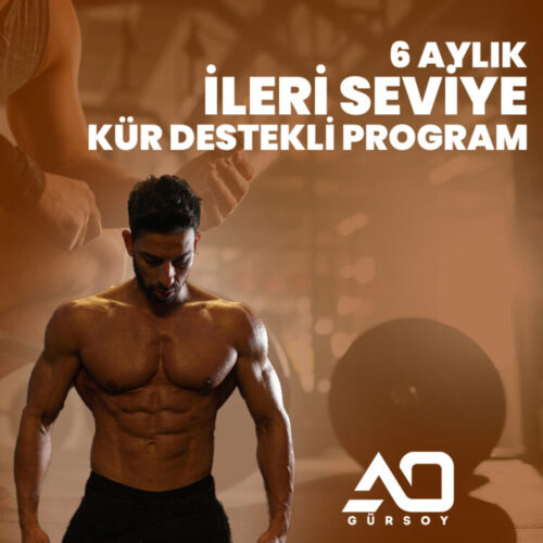 6 Aylık İleri Seviye Program (Kür Destekli)